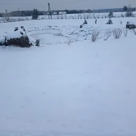 Dom W Jesionach Brajniki - Działka 1 Hektar *