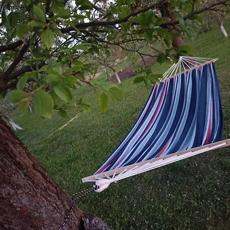 Dom W Jesionach Brajniki - Dzialka 1 Hektar 度假居 *