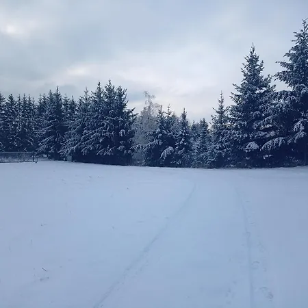 Dom W Jesionach Brajniki - Dzialka 1 Hektar