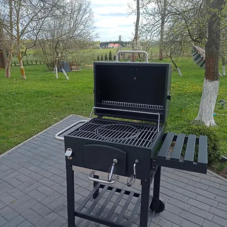 펜션 Dom W Jesionach Brajniki - Dzialka 1 Hektar Jedwabno