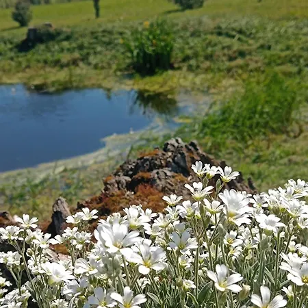 Semesterbostad Dom W Jesionach Brajniki - Dzialka 1 Hektar