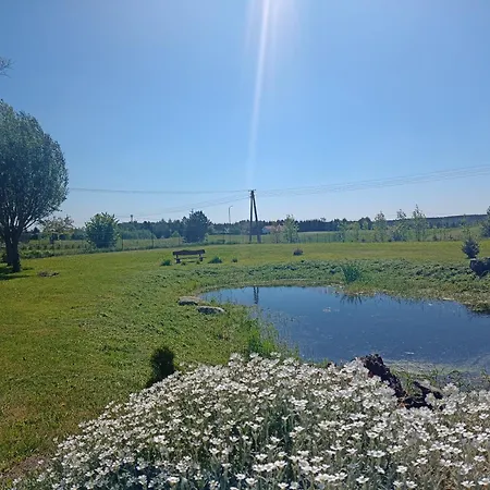 Dom W Jesionach Brajniki - Dzialka 1 Hektar Semesterbostad *