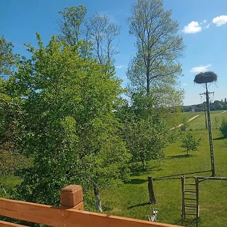 Dom W Jesionach Brajniki - Dzialka 1 Hektar Semesterbostad Jedwabno