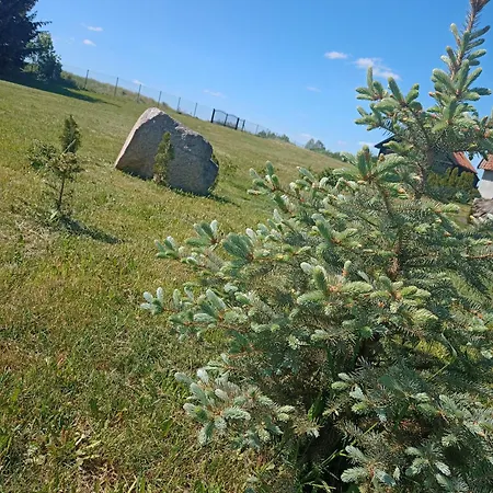 Dom wakacyjny Dom W Jesionach Brajniki - Działka 1 Hektar *