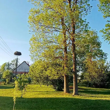 Dom W Jesionach Brajniki - Działka 1 Hektar Dom wakacyjny Jedwabno