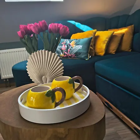 Dom W Jesionach Brajniki - Dzialka 1 Hektar 펜션 Jedwabno