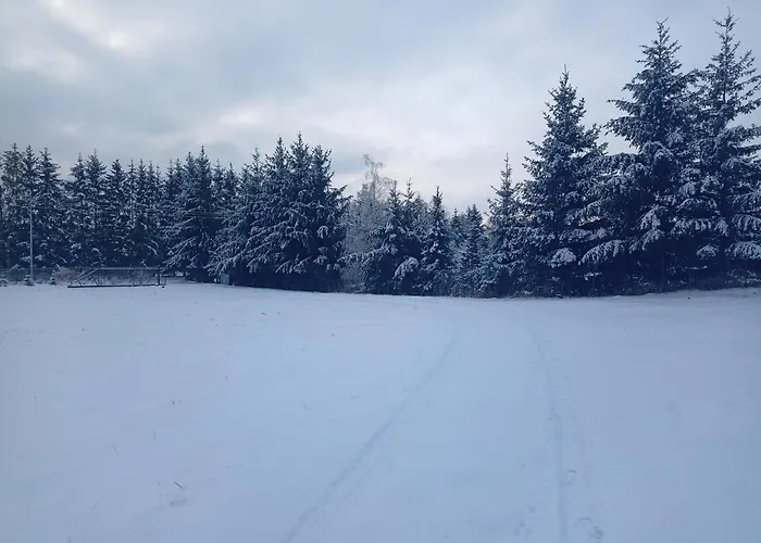 Dom W Jesionach Brajniki - Dzialka 1 Hektar