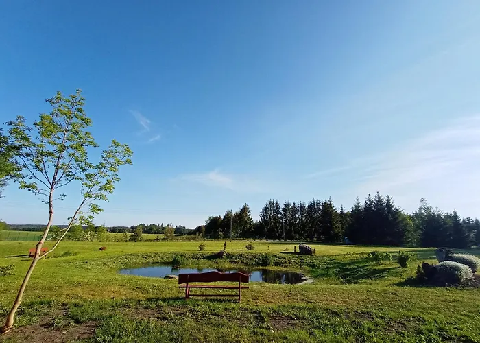 Dom W Jesionach Brajniki - Dzialka 1 Hektar Jedwabno